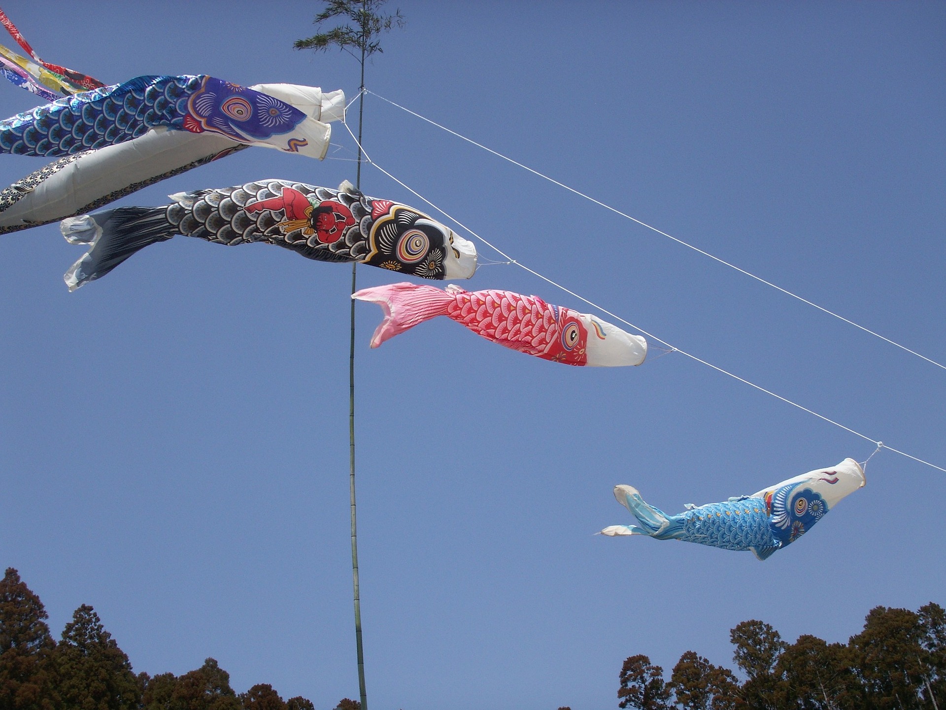 端午の節句 お祝い金の相場は のし袋にメッセージを添えていつまでに渡す どんとこい これからの人生1 ワクワク